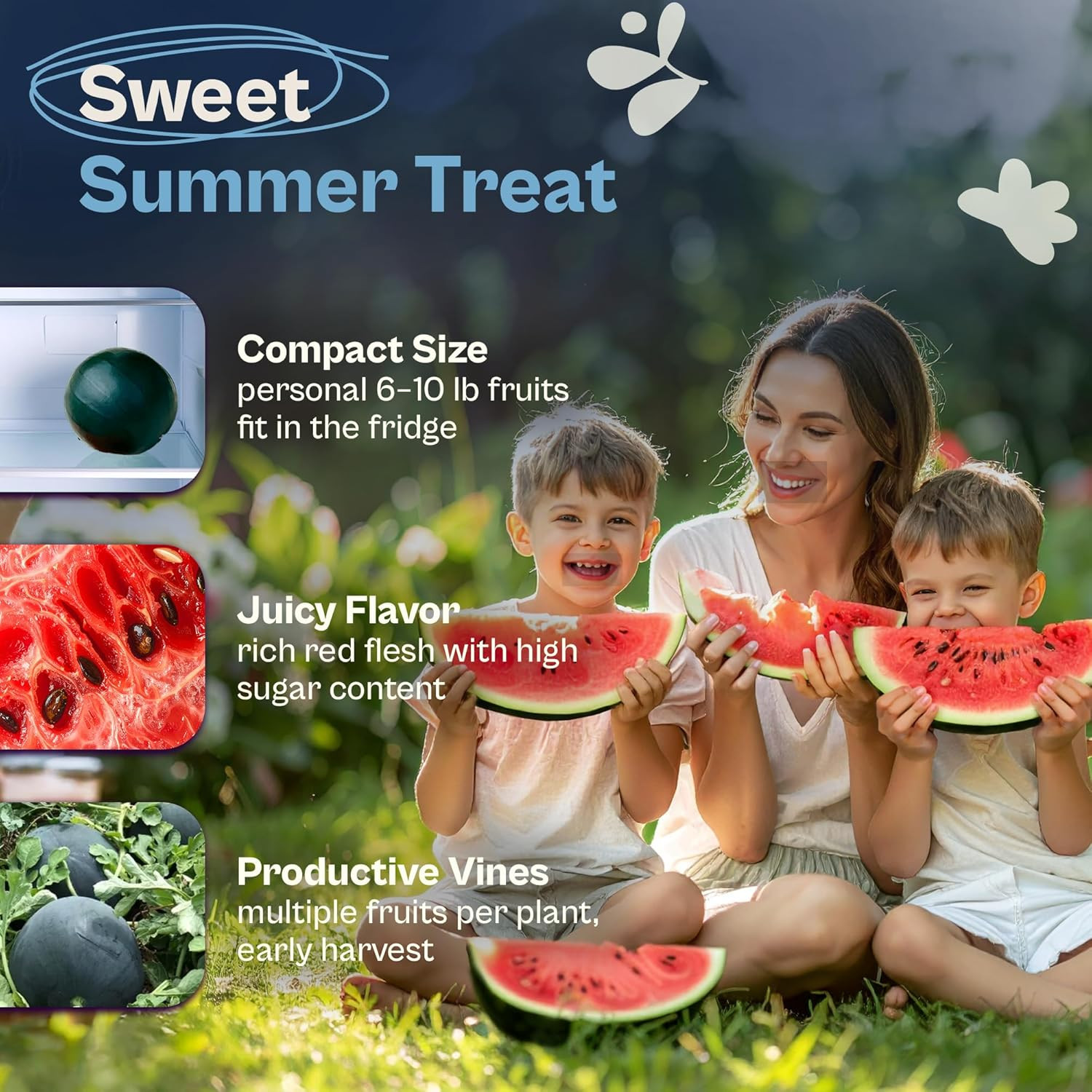 75 Sugar Baby Watermelon Seeds for Planting (Citrullus Lanatus) – Sweet Watermel