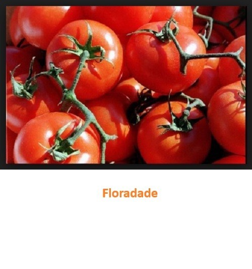 Heirloom Tomato Seeds Assortment – 8 Garden Favorites 200 total seeds