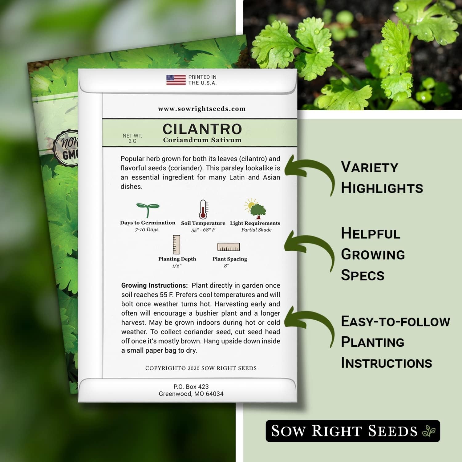 Cilantro Seeds for Planting – Non-GMO Heirloom Packet with Instructions to Gr…