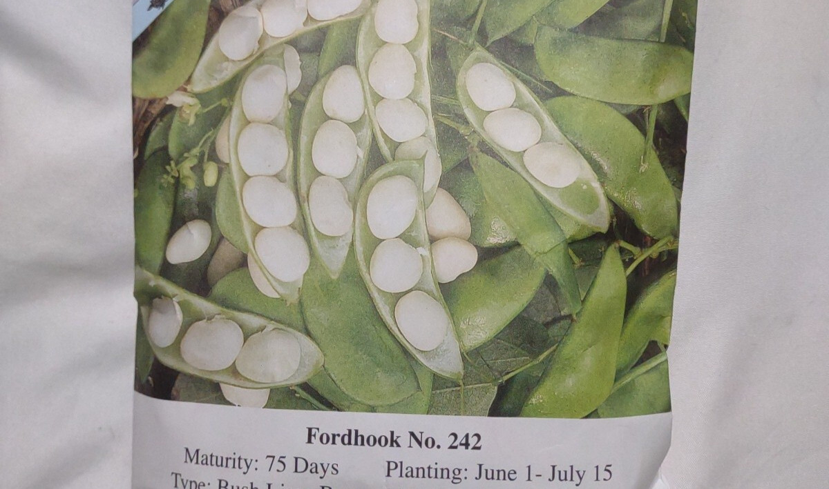 150 + Garden perfect Lima bean quality seeds NON GMO Heirloom