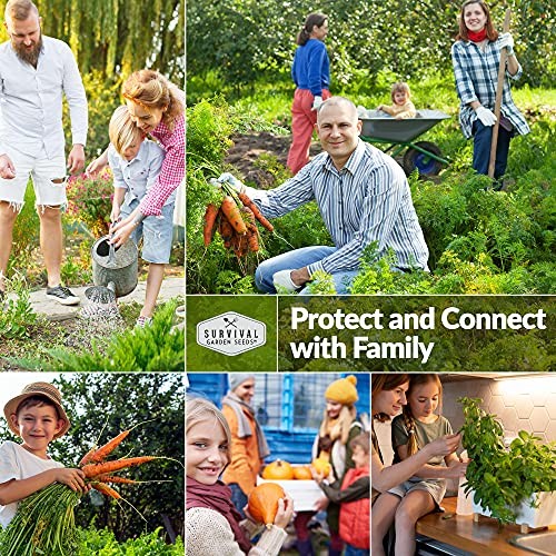 Home Garden Collection Vegetable & Herb Seed Vault – Non-GMO Home Garden 2