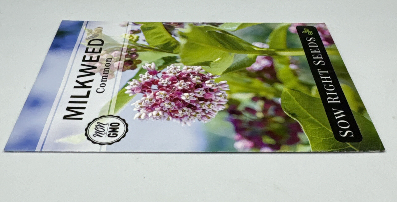 Common Milkweed Flower Seeds Packet 1/2 Gram by Sow Right Seeds. New