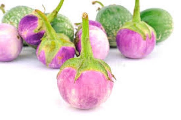 100+ seeds Thai small Mix white+ Purple, White+Green, Purple Eggplant – Cà Pháo