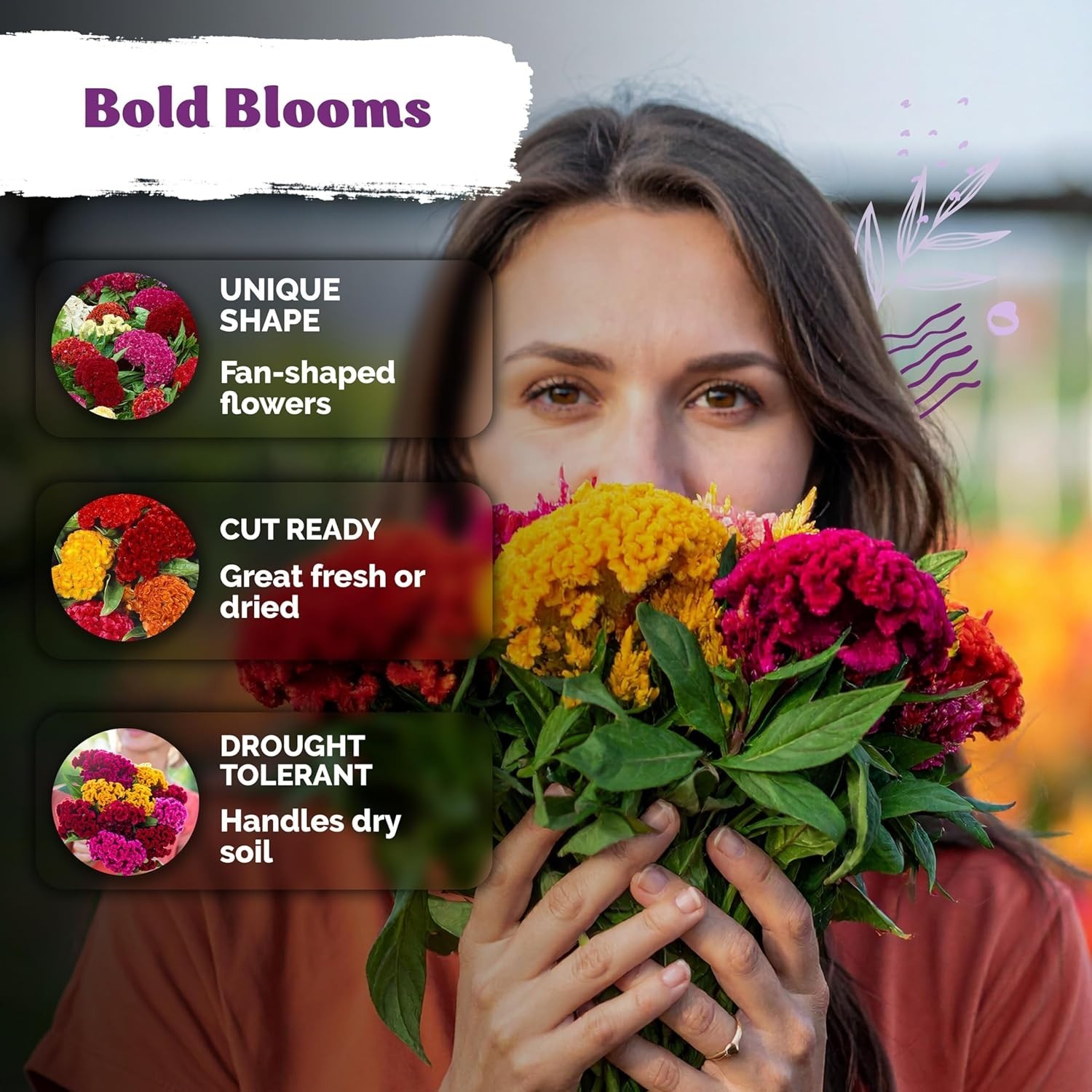 500 Multi-Color Cockscomb Flower Seeds – Easy-Care Dwarf Celosia for All Gardens