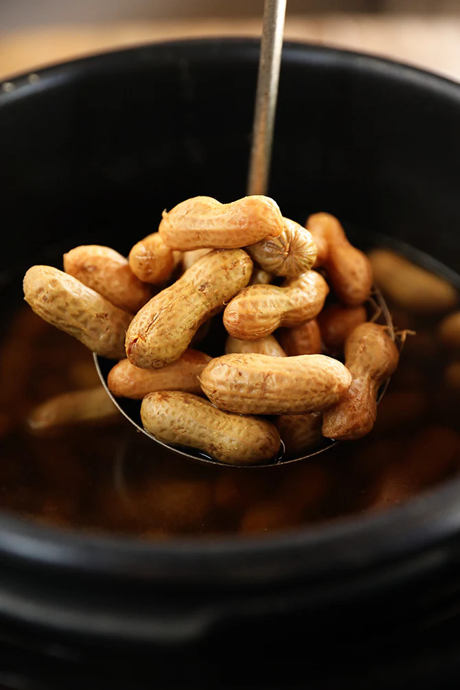 Jumbo Bailey Virginia Peanut Seeds | For Planting Top Producer Pea Nut Seed 2024