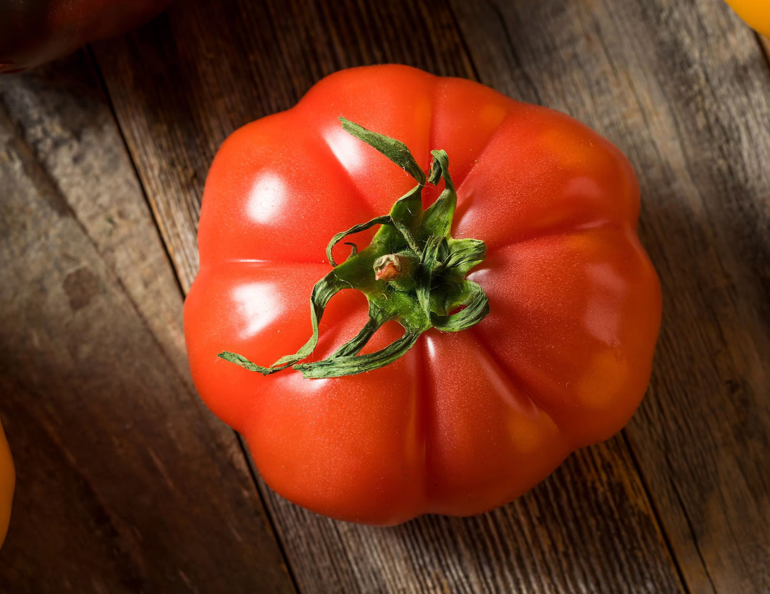 50++ Organic RED FLORADEL TOMATO SEEDS HEIRLOOM – Hột cà chua – 2025 Season
