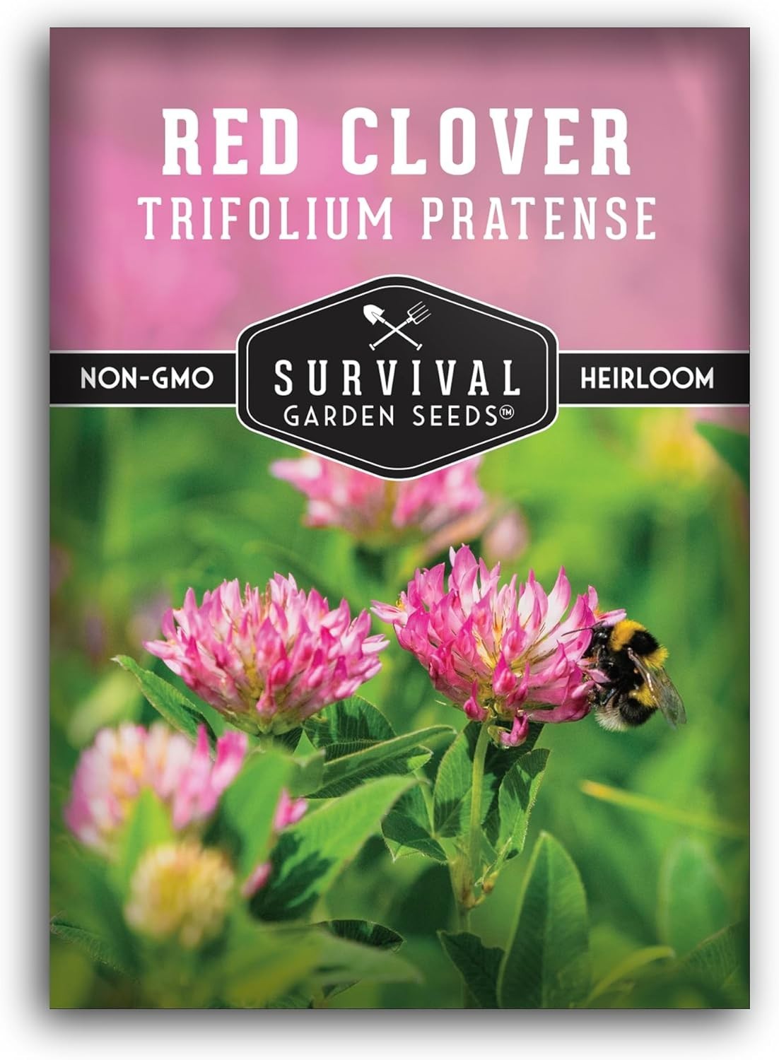 Fast-Germinating Red Clover Seeds for Spring Fall Planting