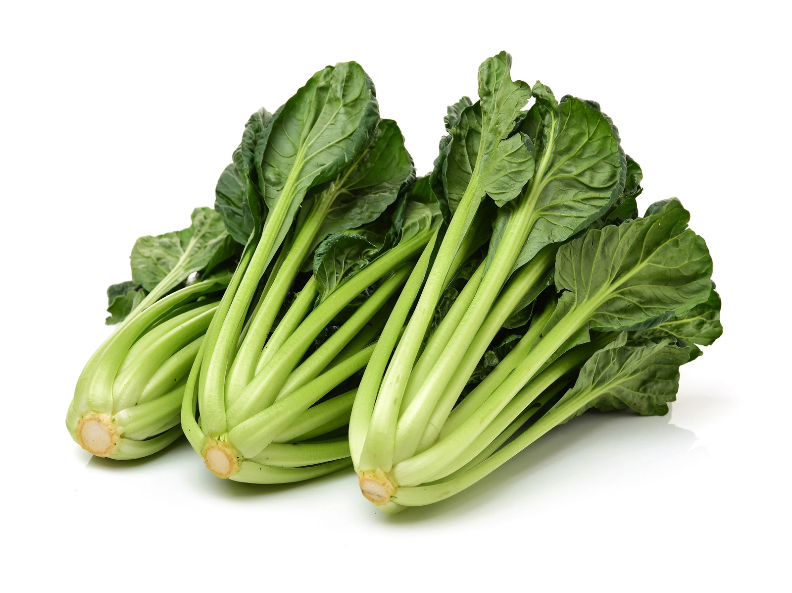 1000 TATSOI Brassica Rapa Rosularis Tat Soi Bok Choy Spinach Mustard Greens Seed