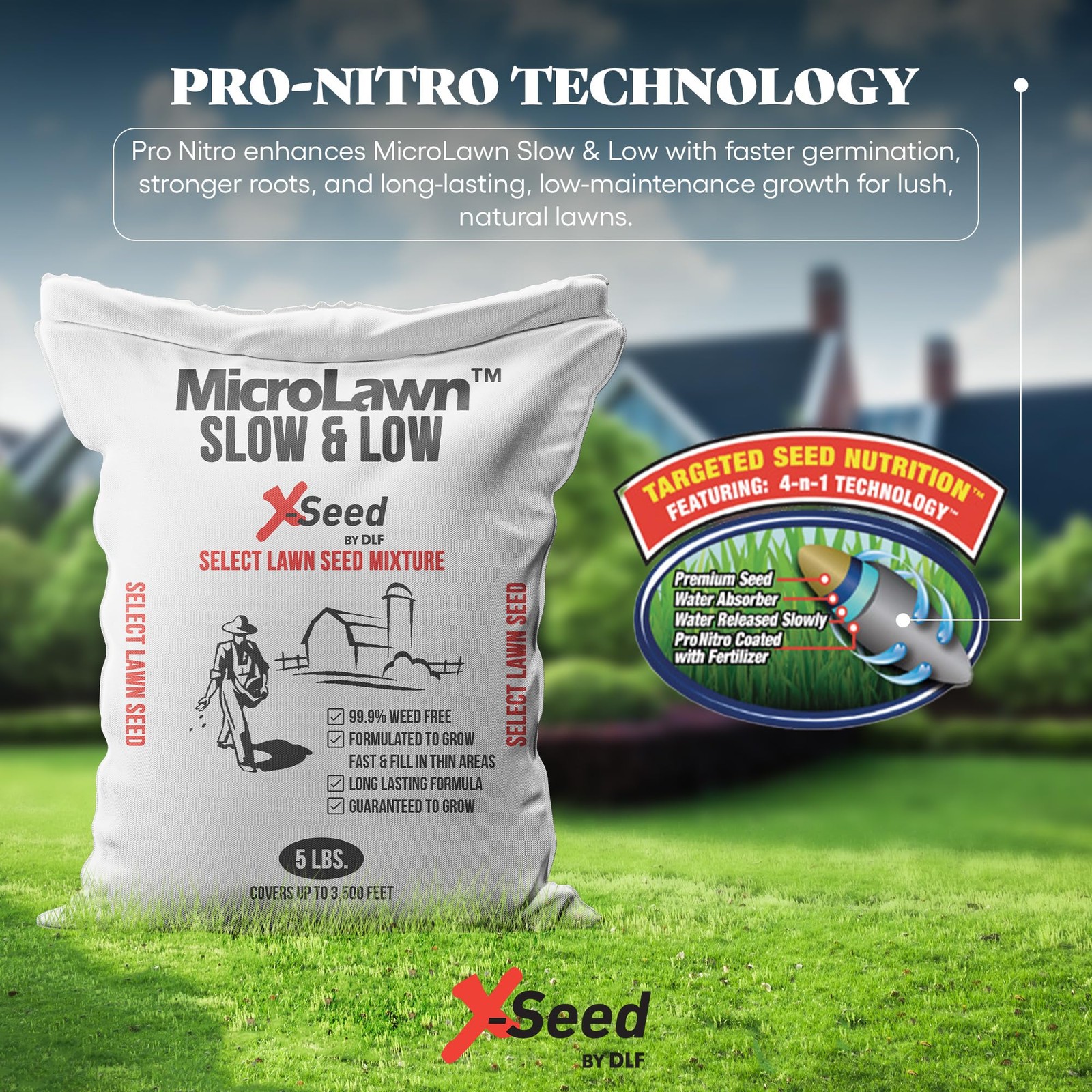 “5LB Micro Lawn Grass Seed for Cool Season, Shade, No Mow, Low Maintenance”