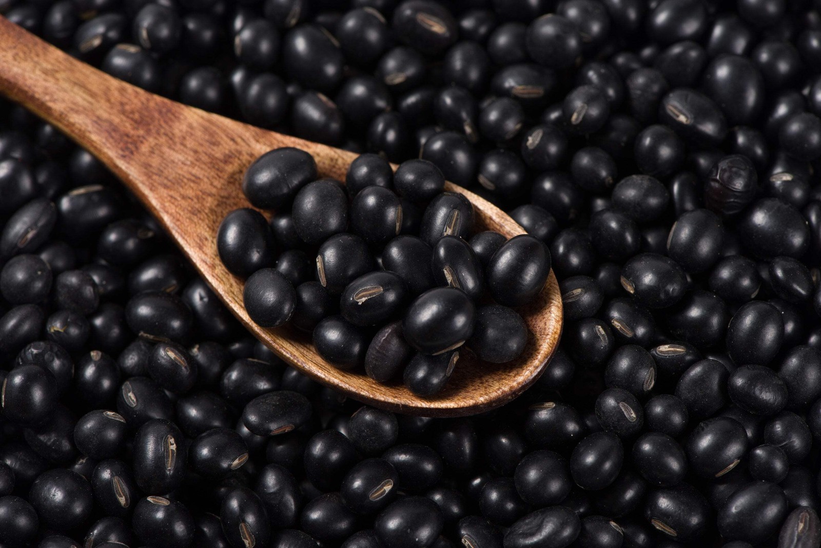 25 Sweet BLACK JET SOYBEAN Edamame Bean Glycine Max Vegetable Legume Seeds