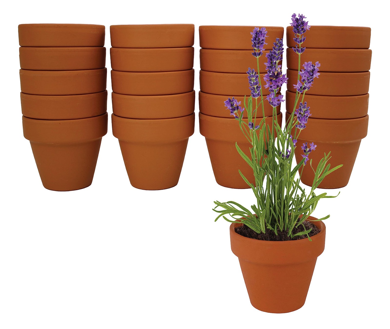 Seeds Terracotta Mini Grow Pots – Herb Flower Plant Starter Kit Assorted 20-P…