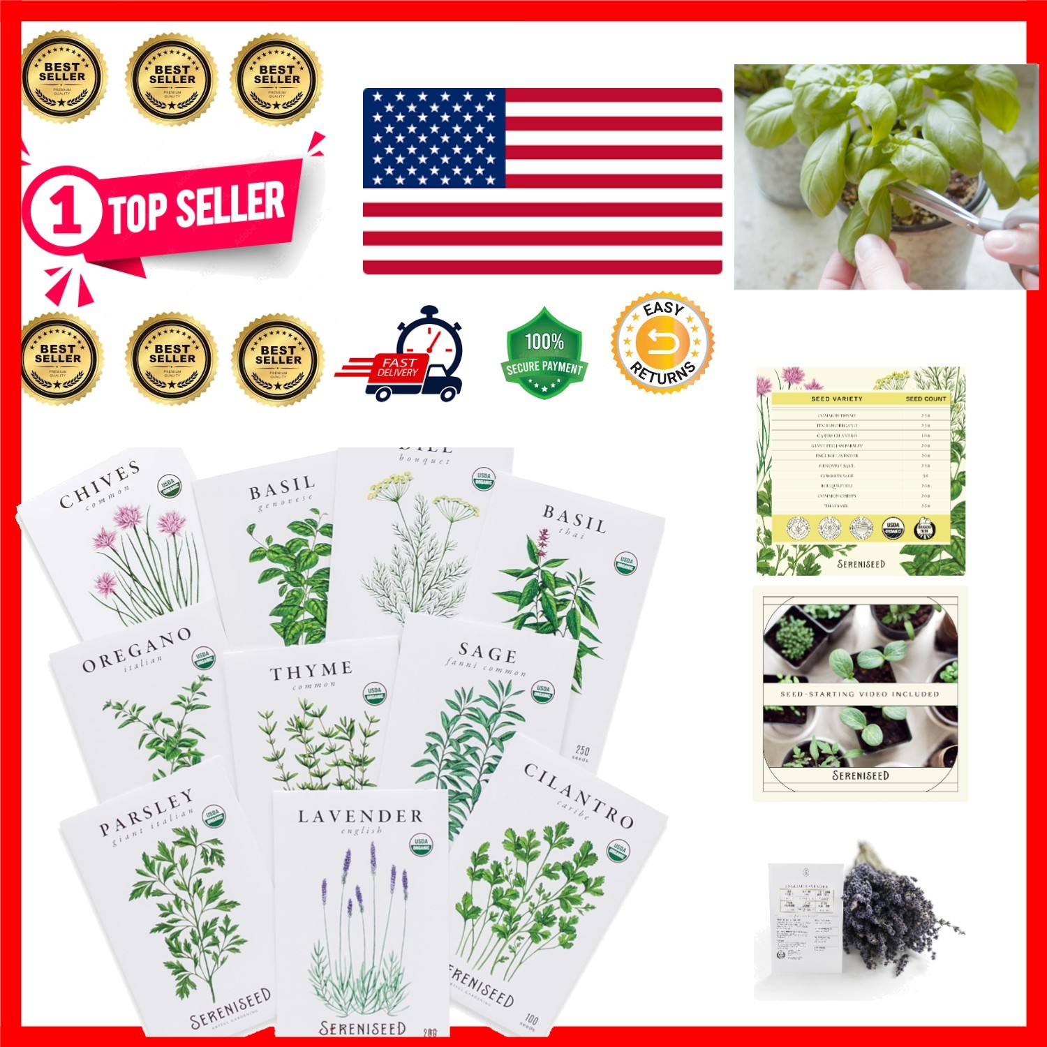 Certified Organic Herb Seeds 10-Pack – Non GMO, Heirloom – Seed Starting Vide…