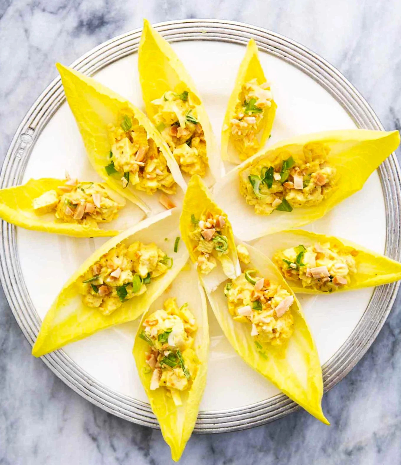 Belgian Endive Seeds, Witloof Chicory | Witlof Chicon Perennial Garden Seed 2024