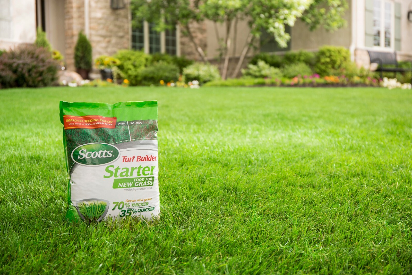 Scotts Turf Builder Starter Food for New Grass 3 lbs.