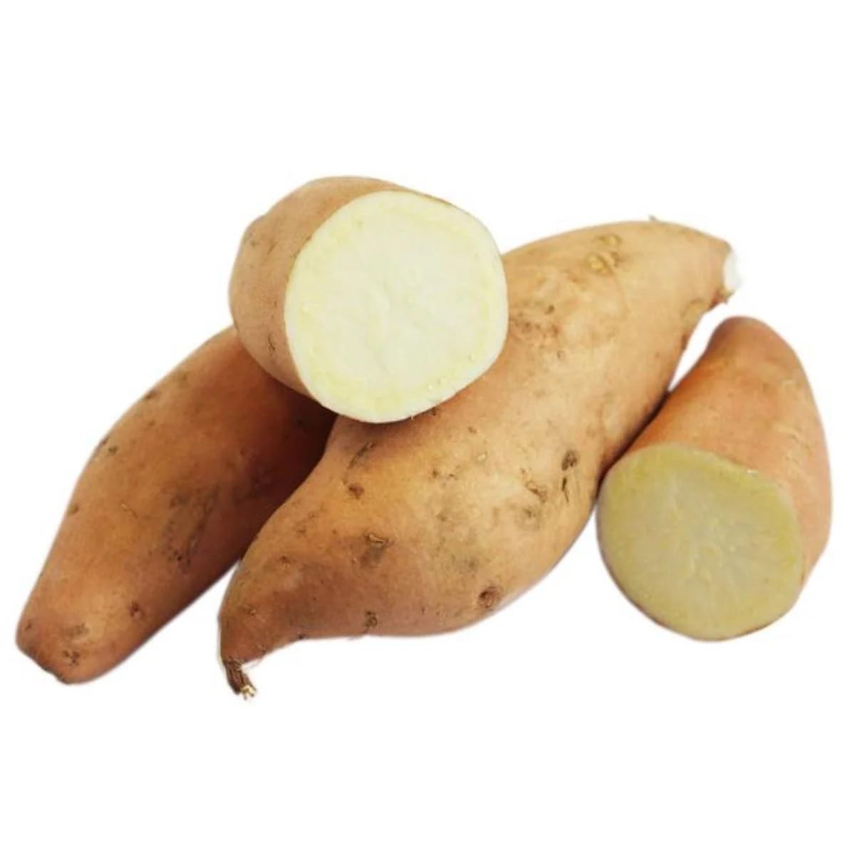 Hannah White Sweet Potatoes Tubers Organic For Planting or Cooking Non GMO