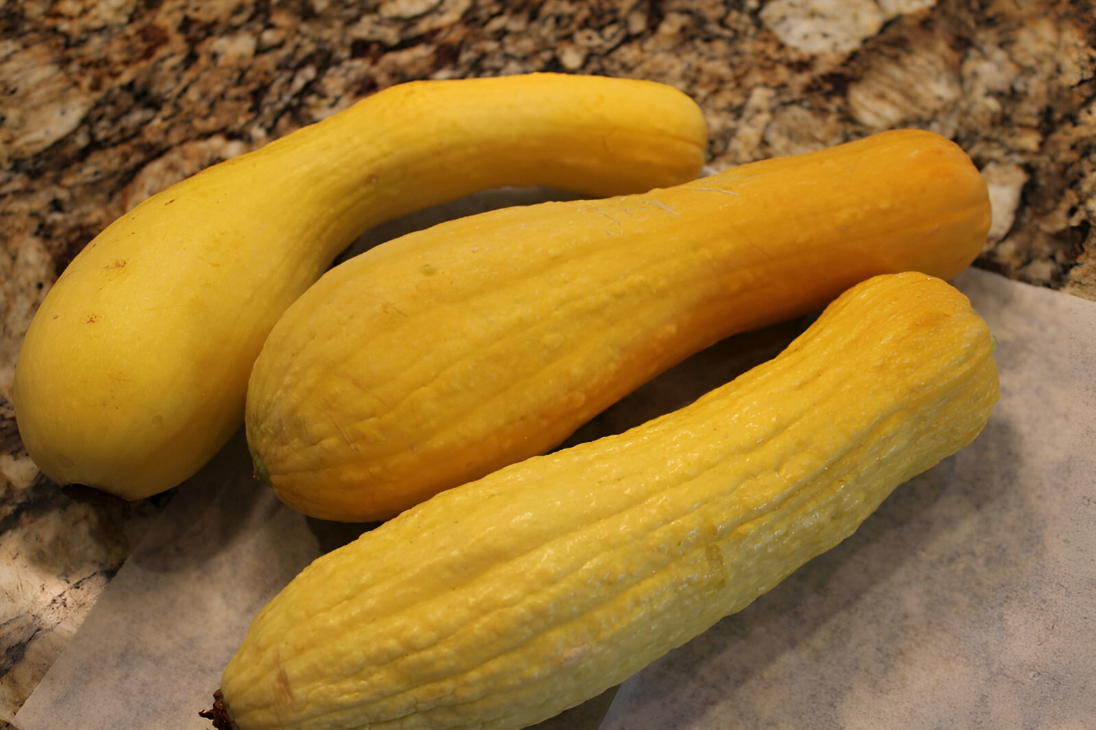 30 Heirloom Prolific Straightneck Summer Squash Seeds -Large Yields Classic Seed