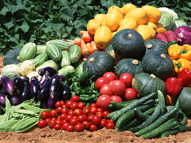 10,000 + Seeds!! NON – GMO Survivalist/ Garden Seed Cache 25 Heirloom Varieties!