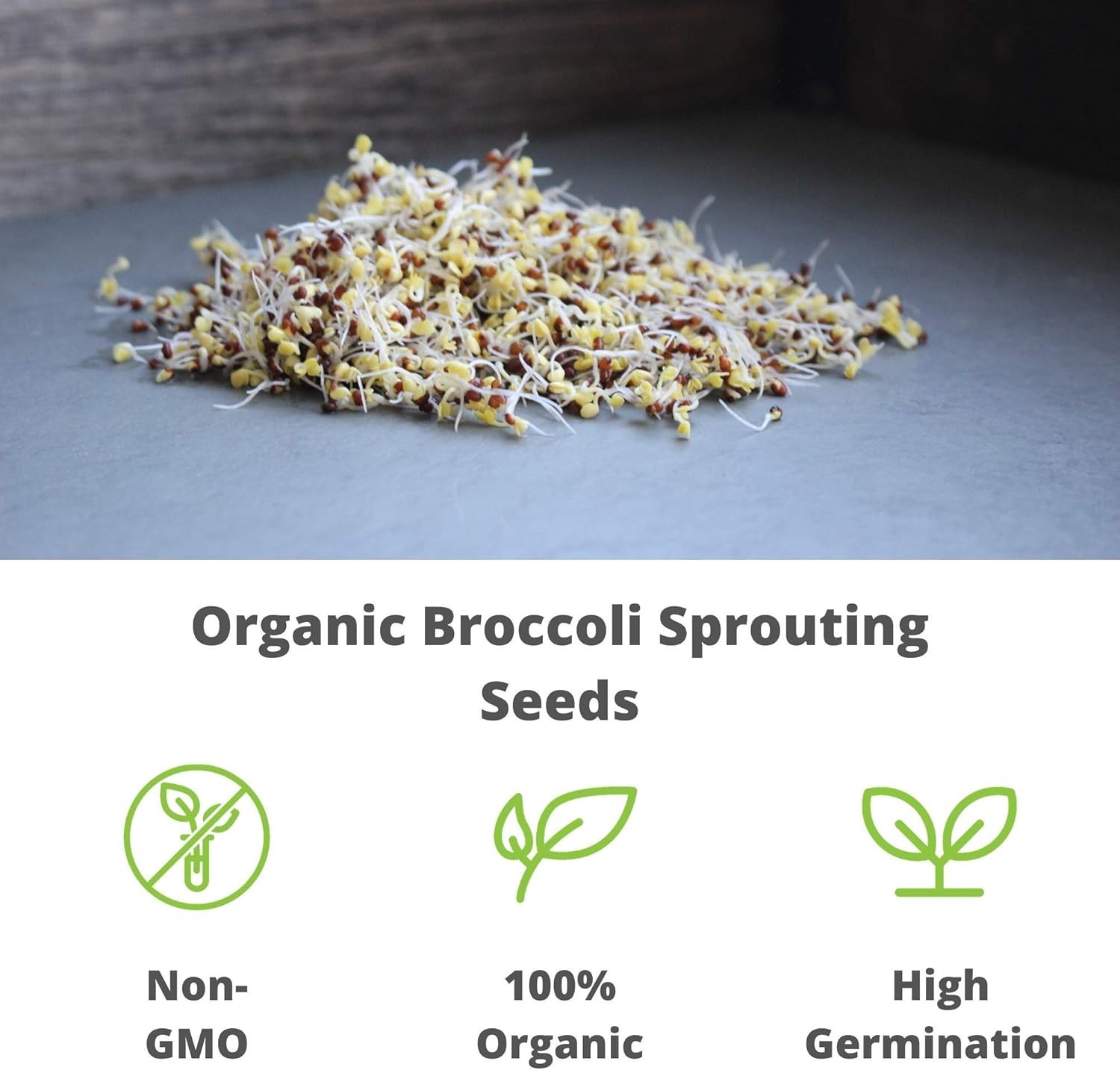 Heirloom Non-GMO Organic Broccoli Sprouts | High Nutrients