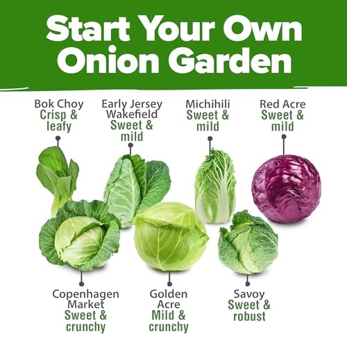 Cabbage Seeds 7 Variety Mix 2000+ Heirloom Non-GMO, High 7-Pack Veg Seed Vault