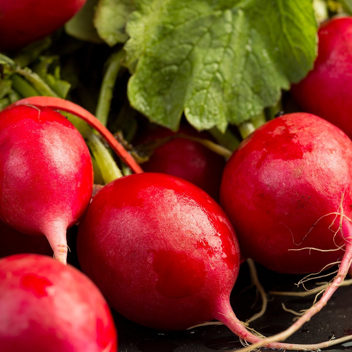 1/4 Lb German Giant Radish Seeds – Everwilde Farms Mylar Seed Packet