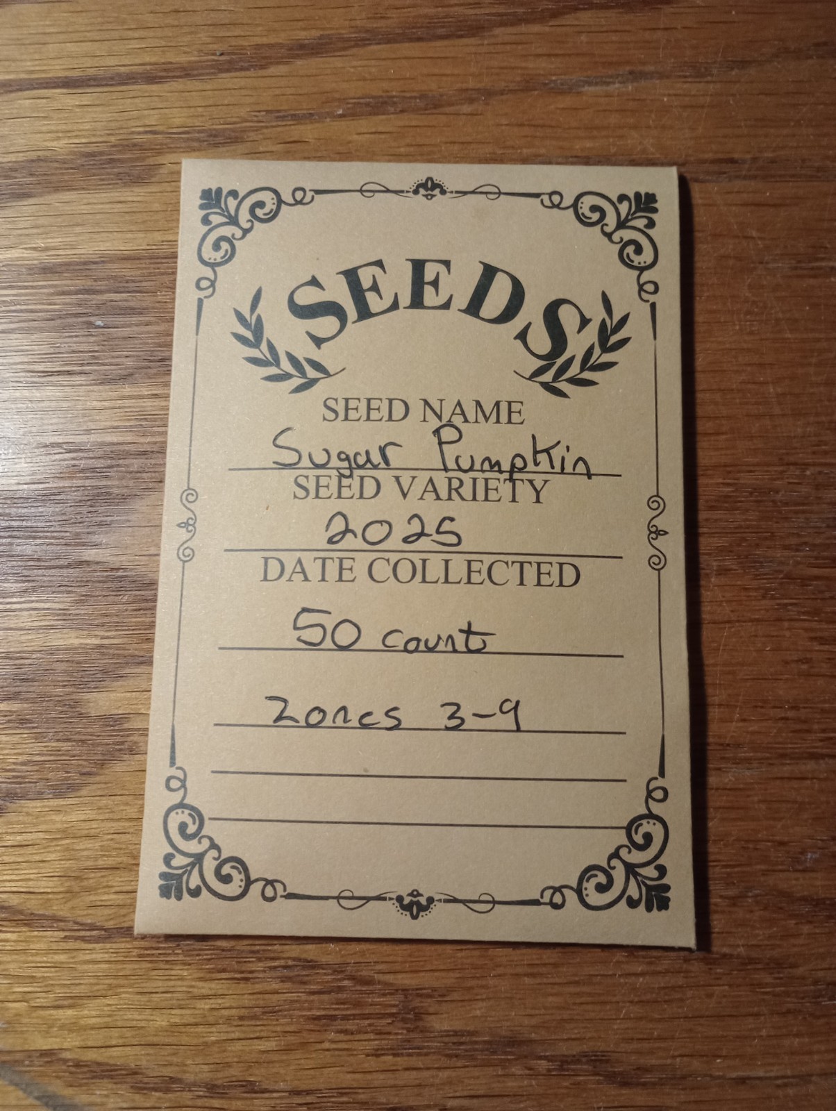 Sugar Pumpkin Seeds 50 ct Zones 3-9 Pumpkin Pie Collected 2025