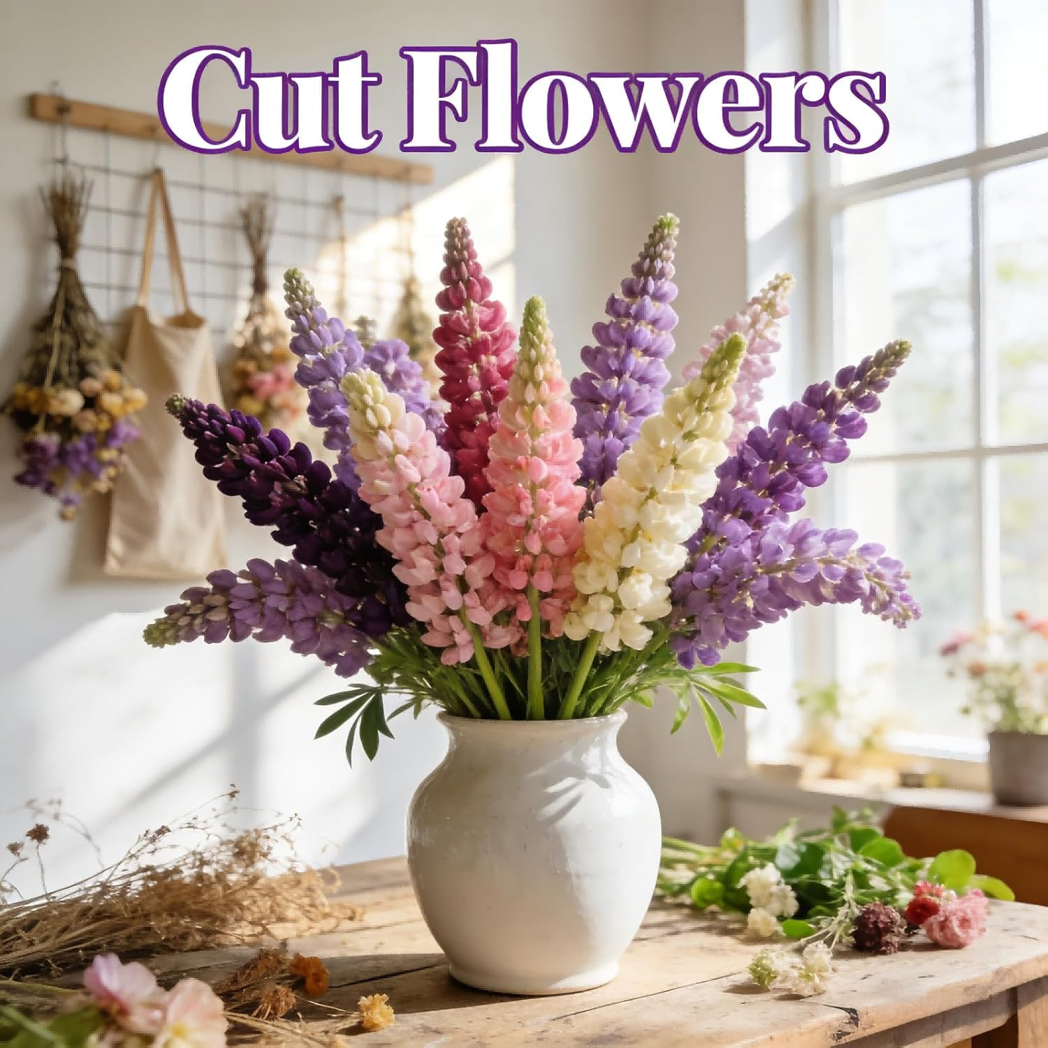 Lupine Seeds for Planting – 300 Heirloom Perennial Flower Seeds, Cold-Resistant