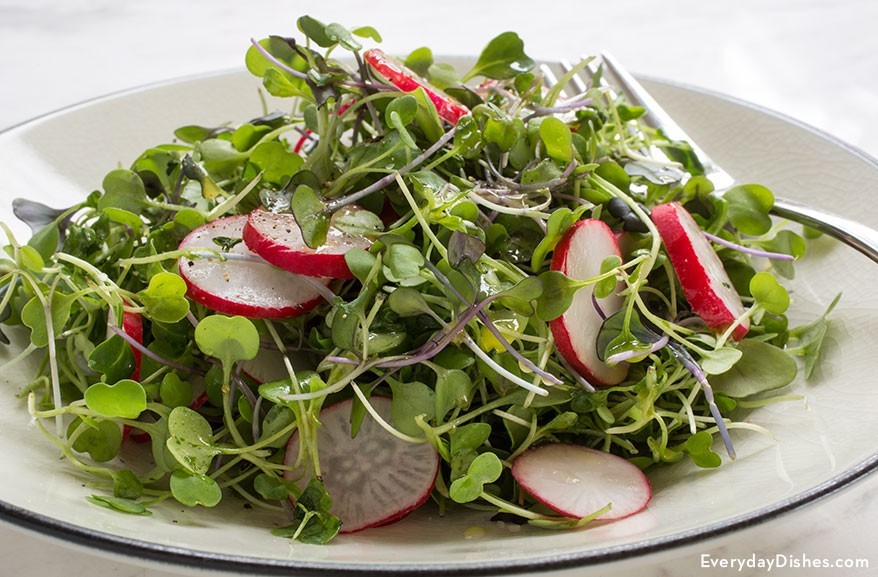 Organic MICROGREEN Seeds | Fresh Heirloom Non GMO Sprouting Seeds