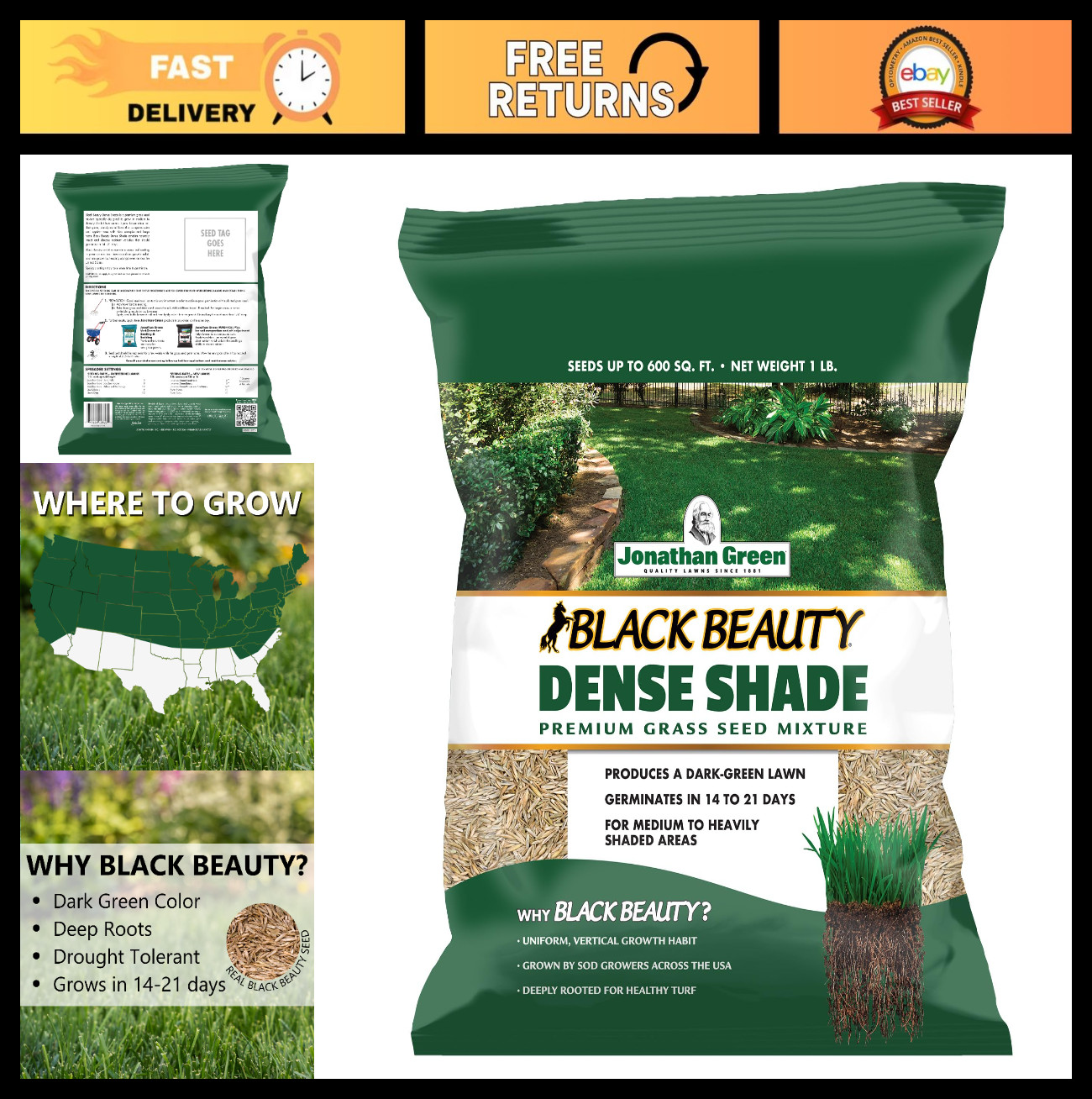 Dense Shade Grass Seed – Black Beauty Cool Season Lawn Seed – 1 lb for Thick Law
