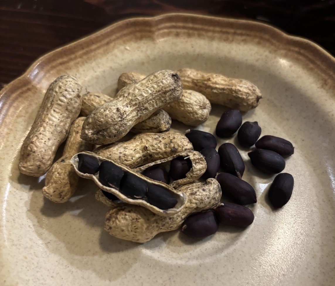 Black Peanut Heirloom Seeds West African Black Skin Peanuts 25 Seeds Organic