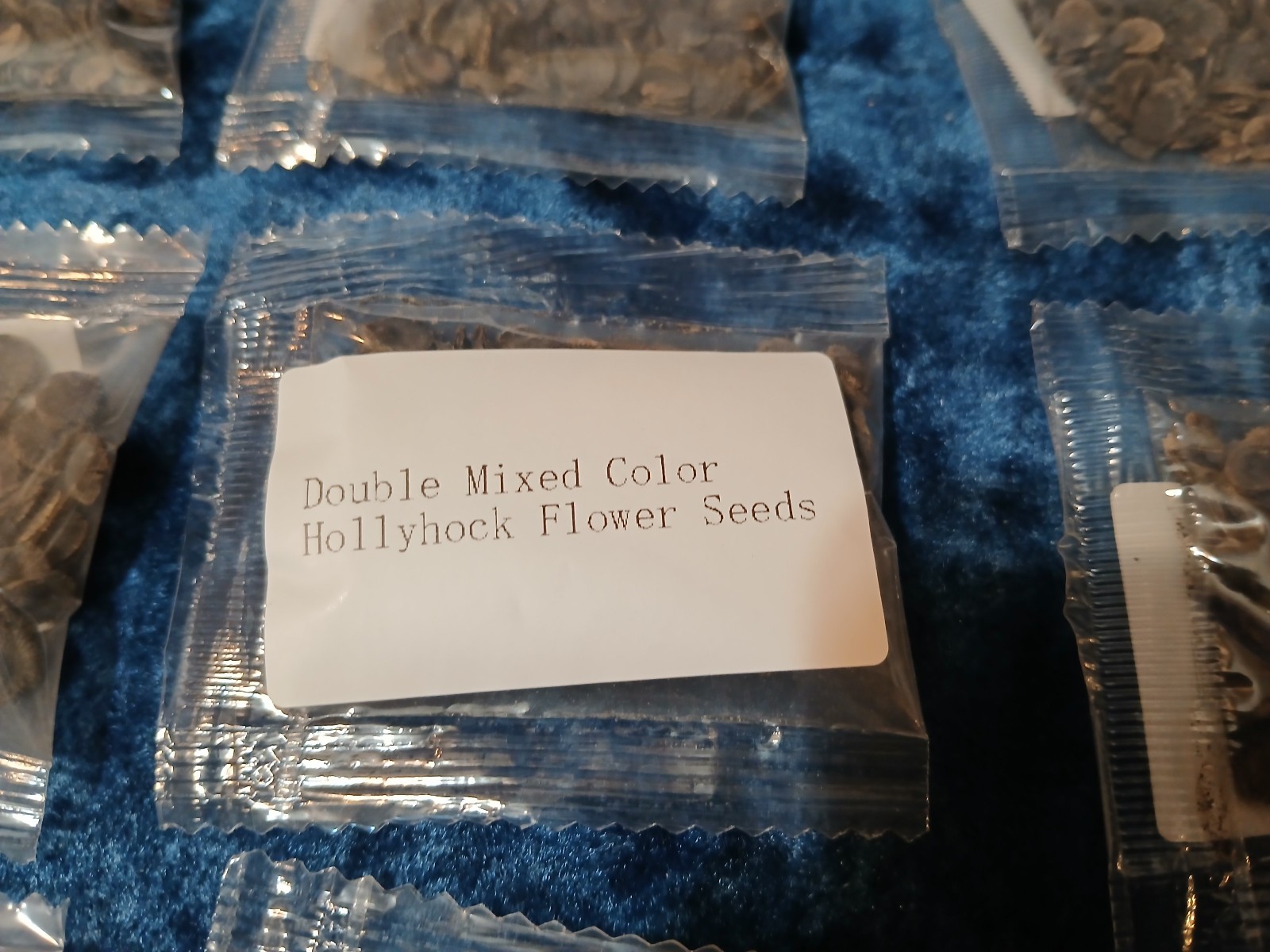 1000+ Double Hollyhock Flower Seeds + 100 Mexican Sunflower Seeds + 1 Unknown