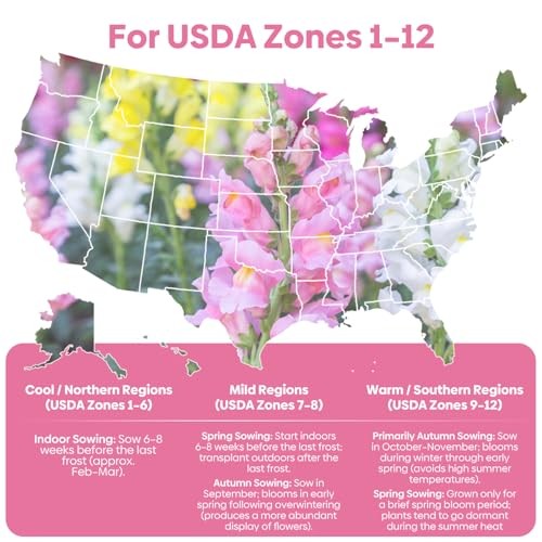 1500+ for USDA 1-12 Planting, 18-24’’ Tall Snap Tetra Mix Snapdragon Seeds