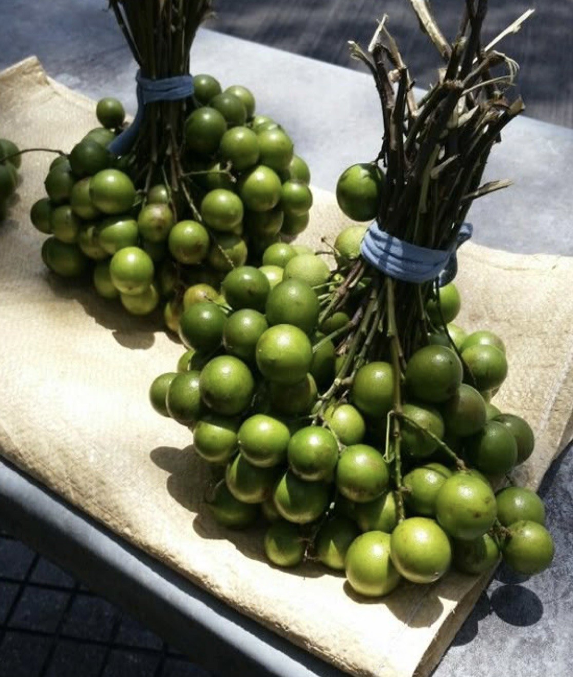 Fresh 10Lbs Spanish Lime/Quenepa/ Guineps Mamone Mamoncillo. Actual Fresh Fruits