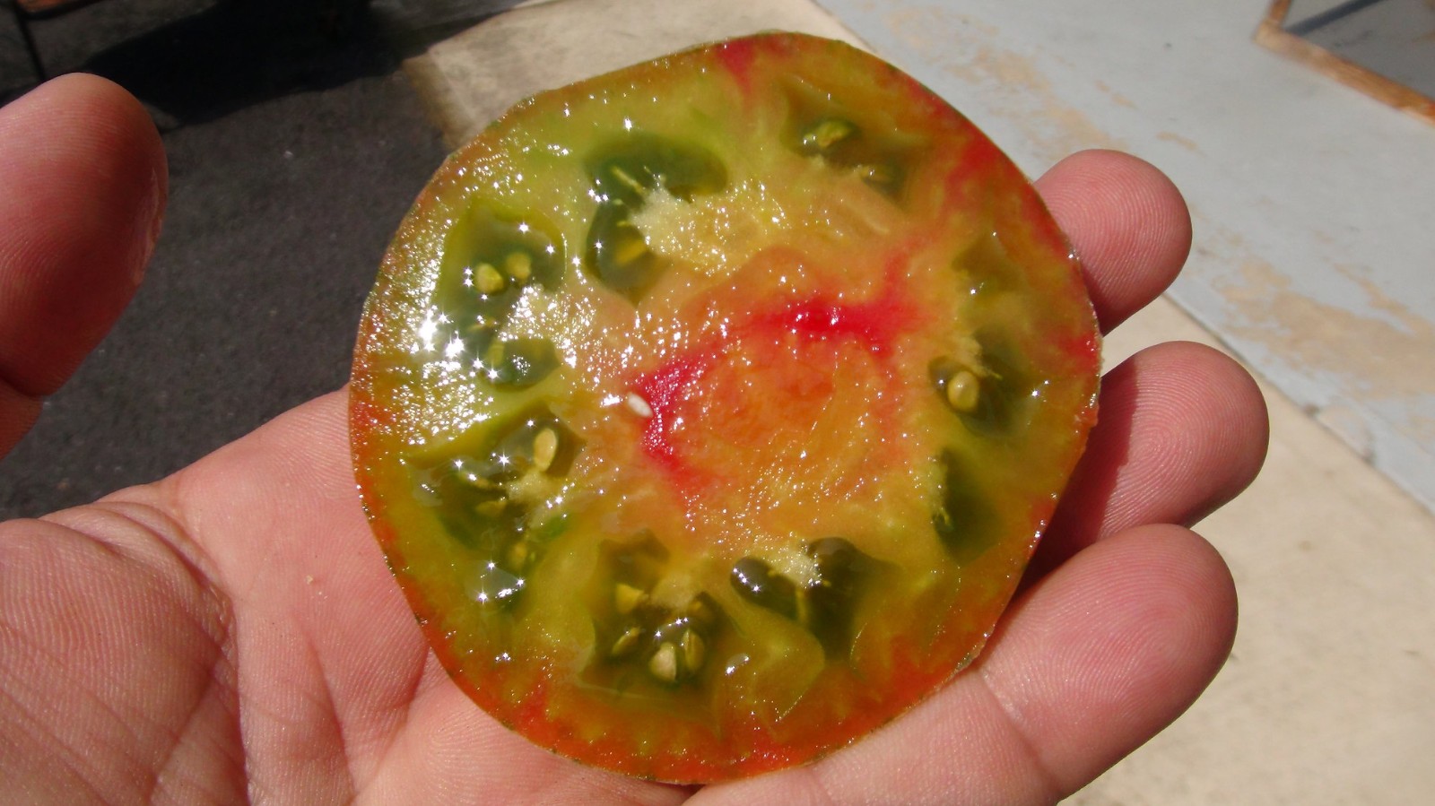 10 seeds Dwarf Peppermint Stripes Tomato ORGANIC Rare DTP