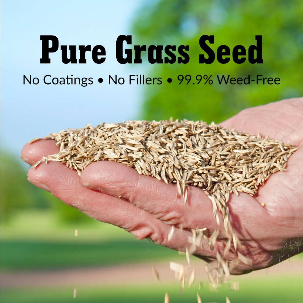 GRASS SEED Fairway Formula Sunny Mixture – 3 Lbs