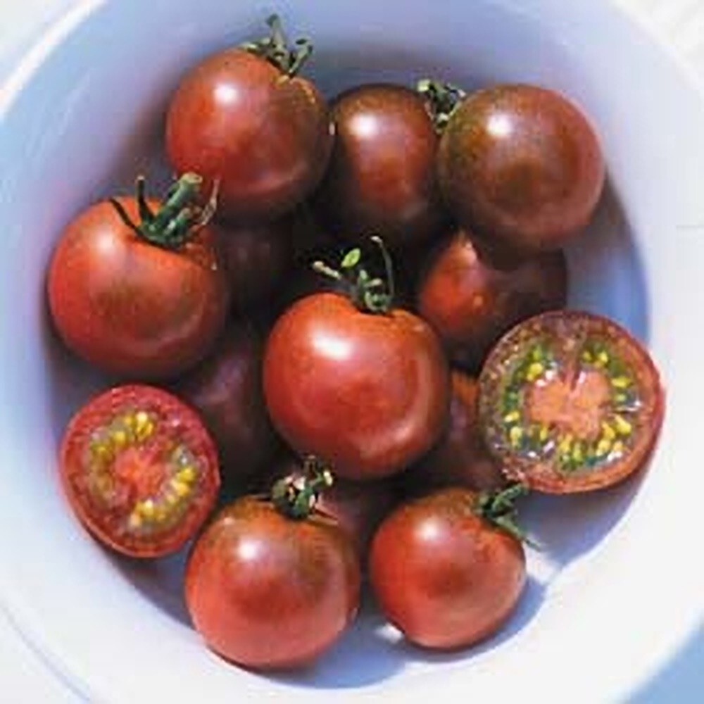 10+ Brown Berry Tomato Seeds – Heirloom – NON GMO – Organic ————— RARE