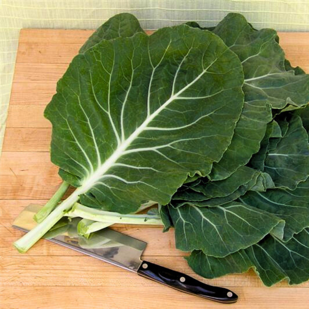 Portuguese Kale Seeds | Heirloom Non-GMO | Fresh Vegetable Seeds | Rare Seeds