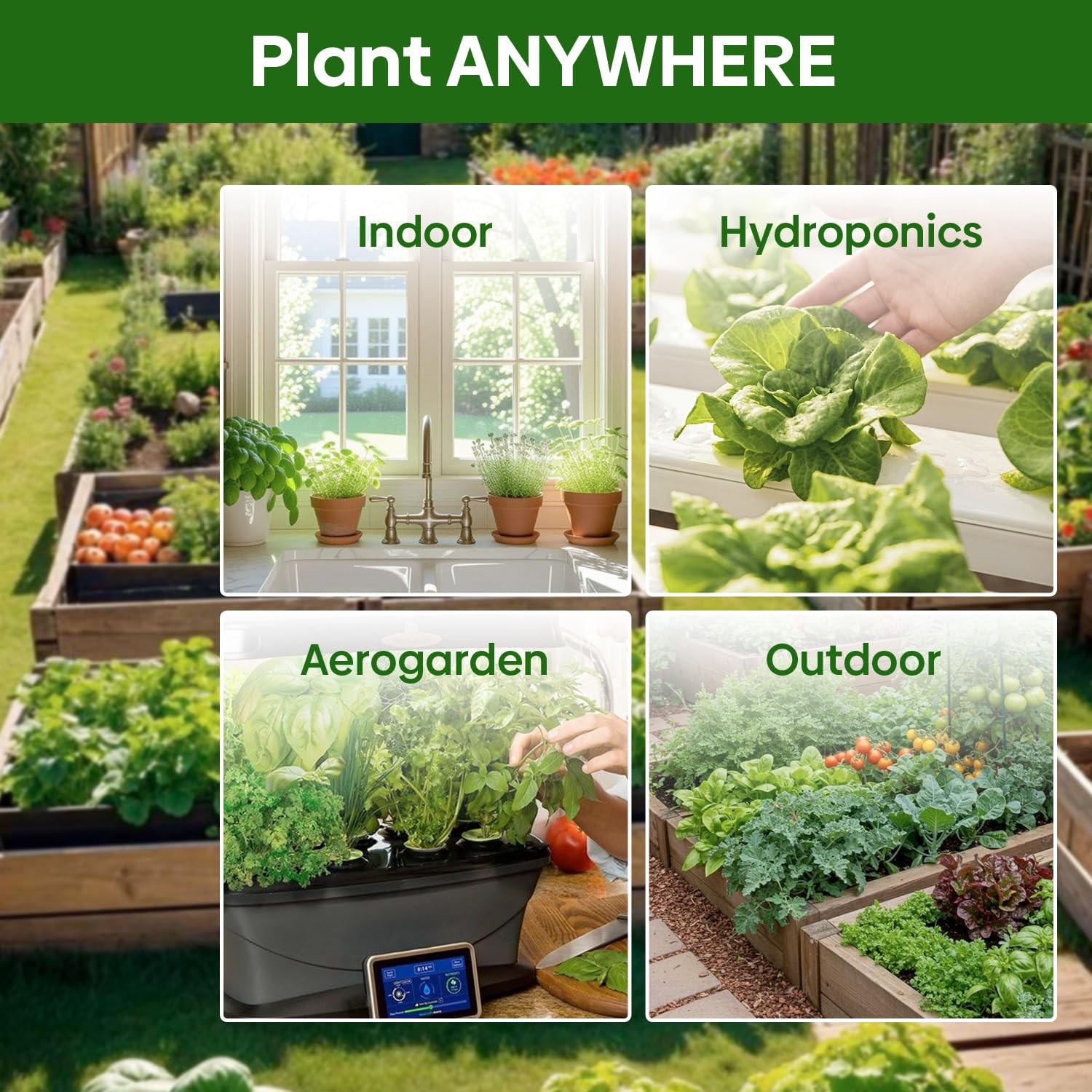 Non-GMO Heirloom Lettuce Seeds – 5 Varieties for Outdoor, Indoor, Hydroponic