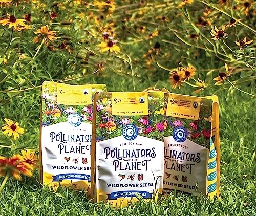Wildflower Pollinator Seed Mix – 1lb, 18 Varieties, Eco-Friendly, Coneflower, Su