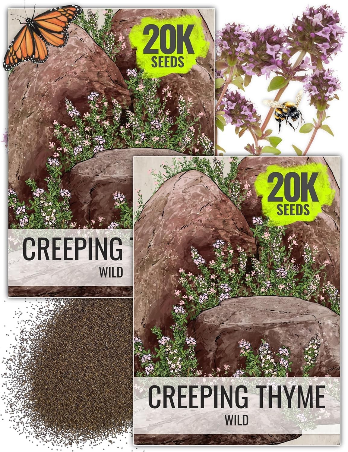 Attractive Heirloom Wild Creeping Thyme Seeds – 40K Count for Aesthetic Gardens