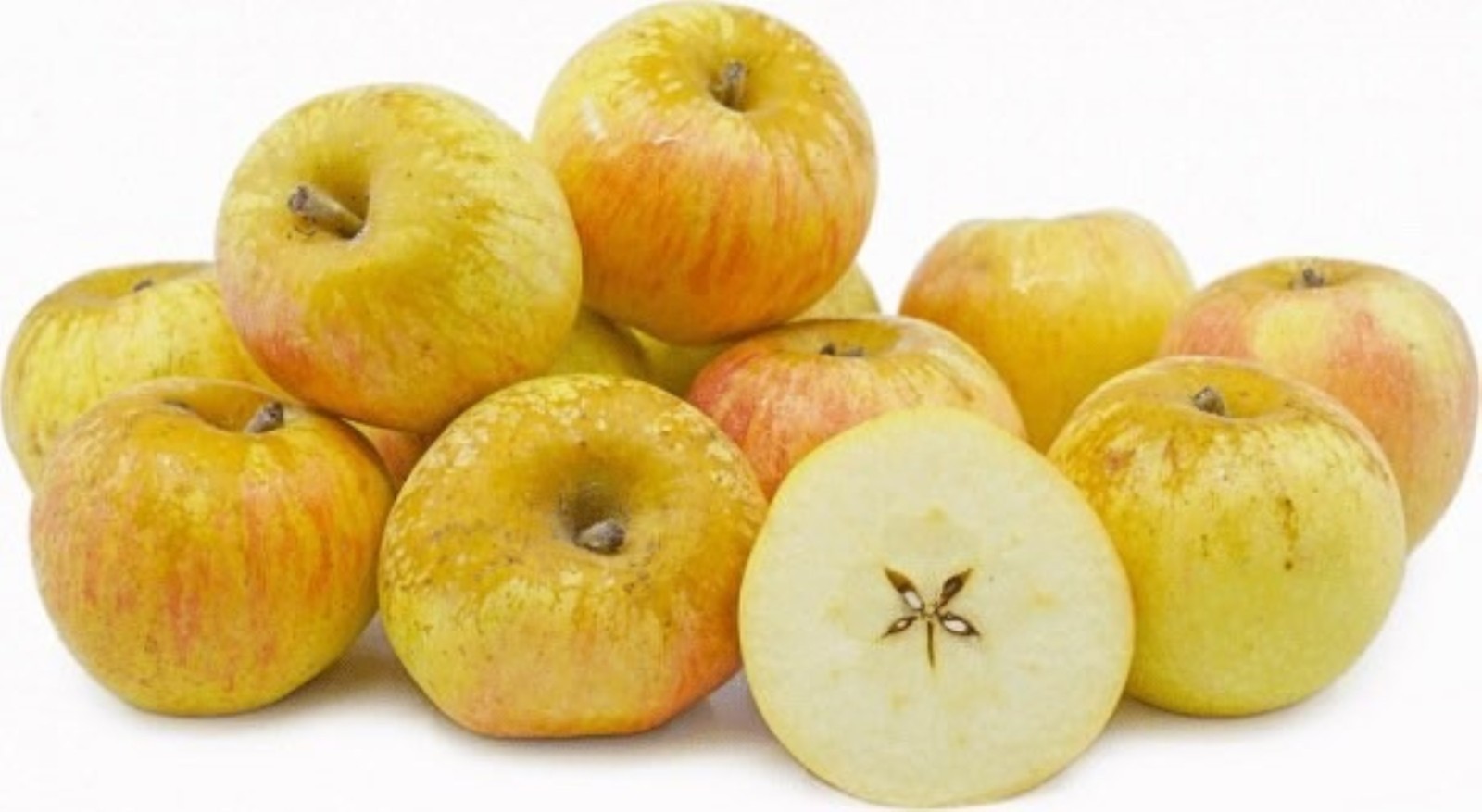Belle de Boskoop Apple Tree grafted 5x5x12 inches pot size