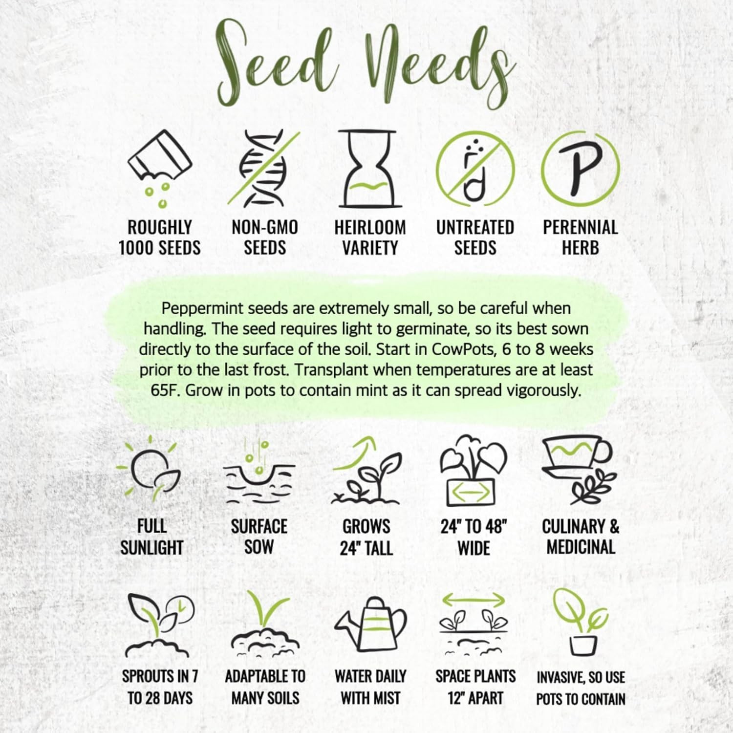 Peppermint Seeds for Planting – Non-GMO Heirloom & Untreated – Medicinal/Culi…