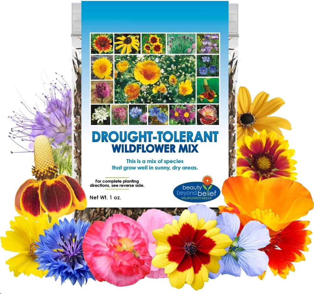 Drought Resistant Wildflower – 1Oz, Open-Pollinated Bulk Flower Seed Mix for Be
