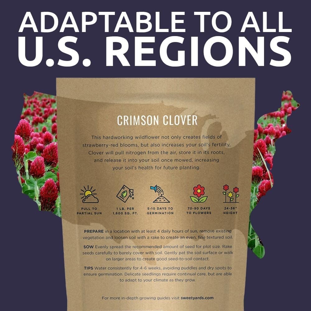 Crimson Clover Seeds for Planting – Bulk 5 Pounds – Over 400,000 Open Pollina…