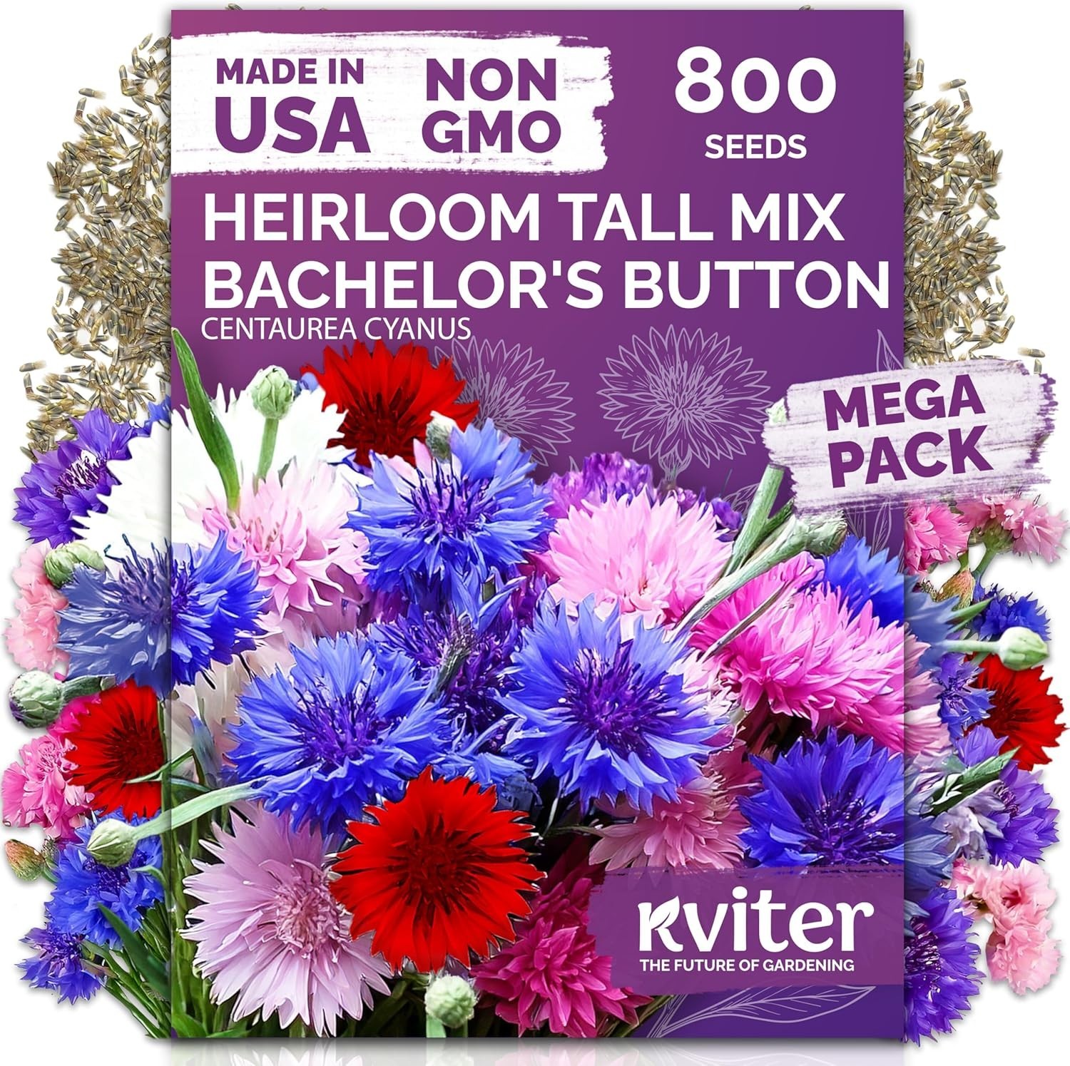 Summer-Blooming Cornflower Seeds – 800 Mixed Bachelor Buttons for Any Garden