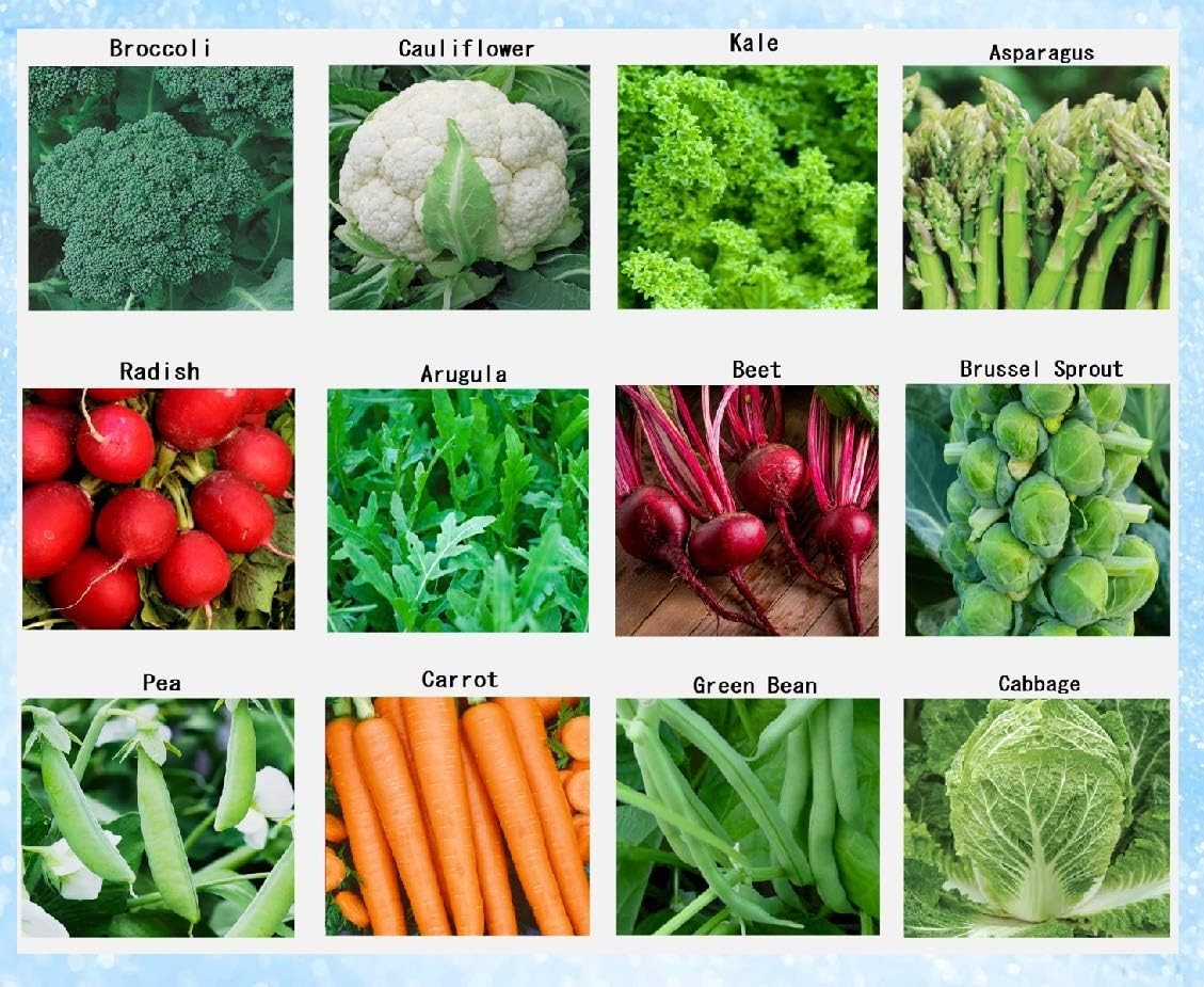 Premium Winter Vegetable Seeds for Planting Organic Non-GMO Heirloom Seeds 12 Va