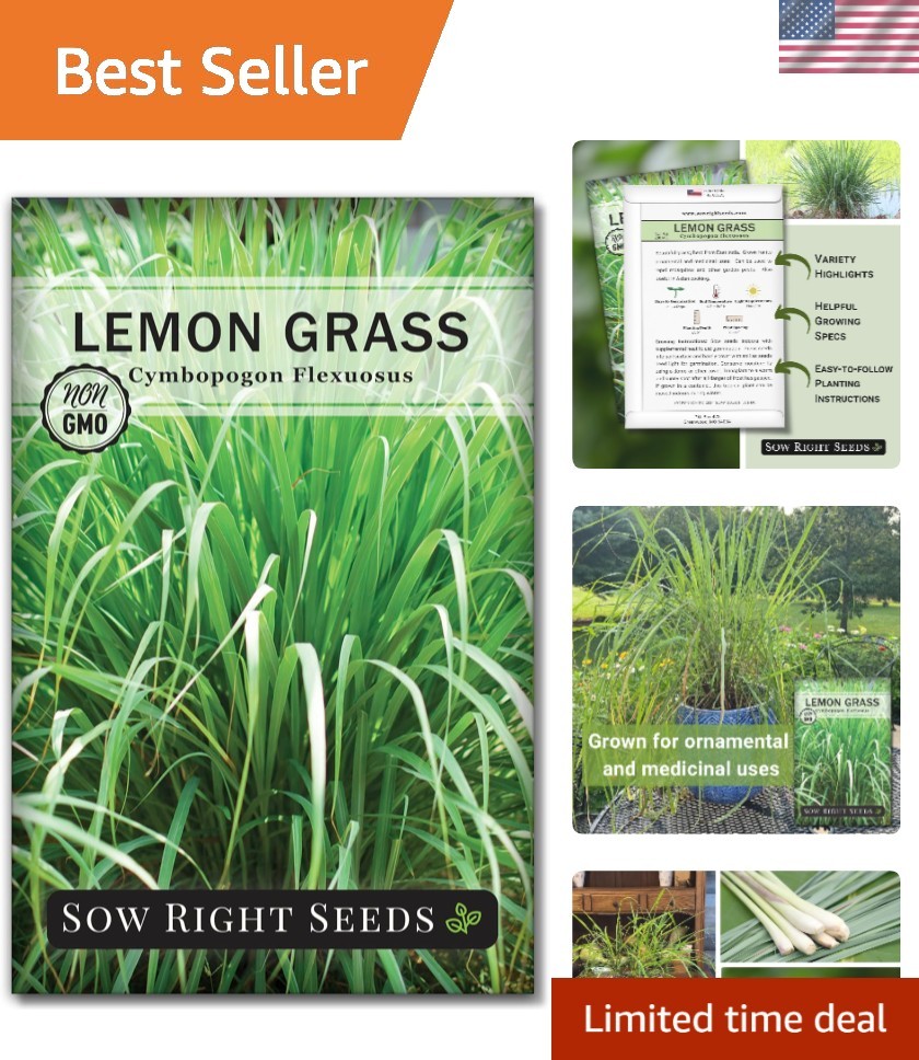 Eco-Friendly Lemon Grass Seeds – Non-GMO & Heirloom for Flavorful Home Gardening