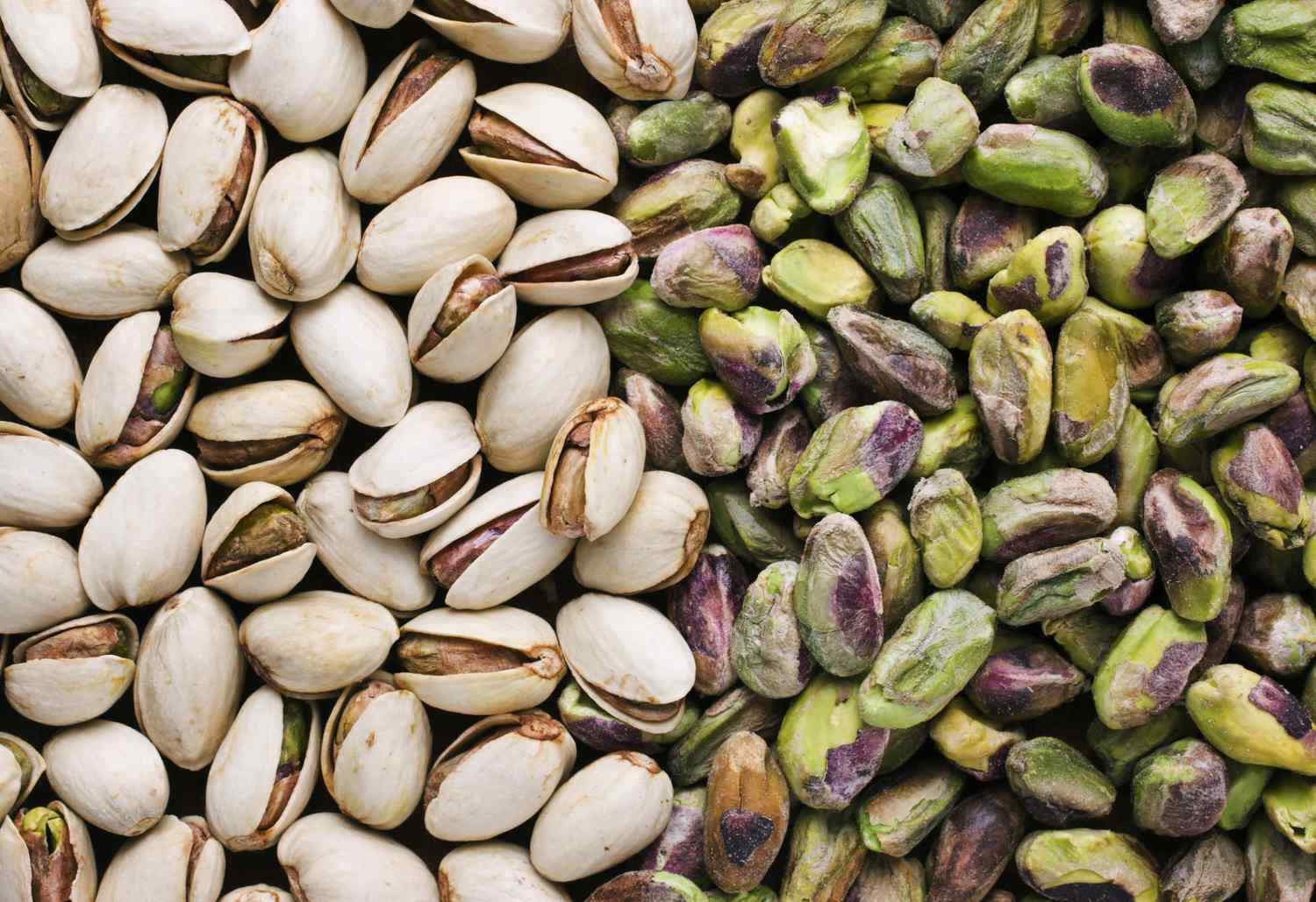 Pistachio Tree Seeds | Pistacia Vera Green Nut Perennial Seed 2025 Fast Shipping