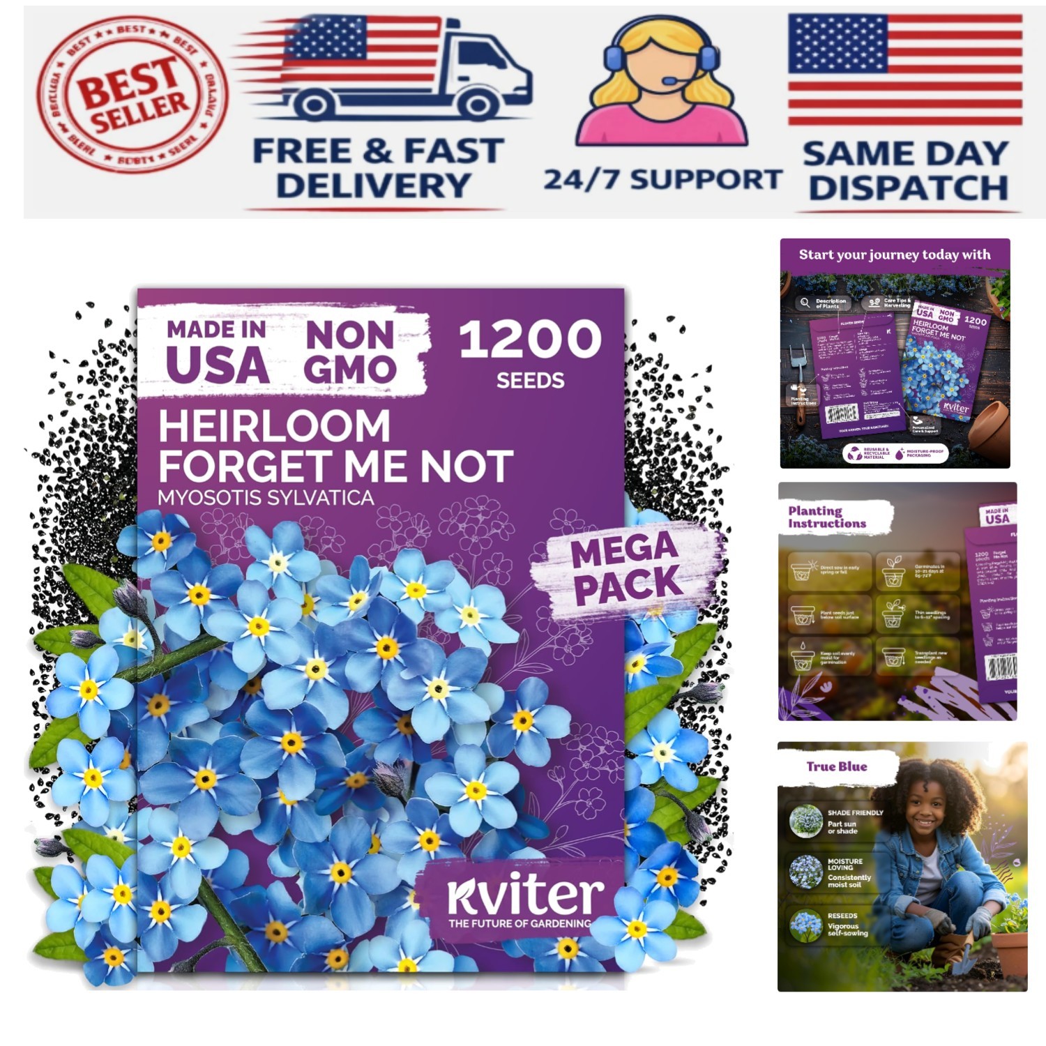 Myosotis Sylvatica 1200 Seeds – Vibrant Blue Perennials for Borders & Containers