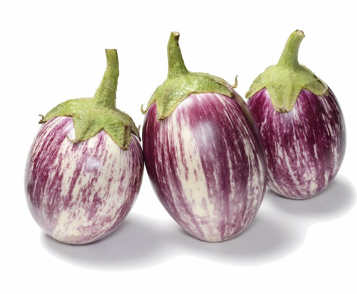 Organic Listada De Gandia Eggplant – Solanum melongena