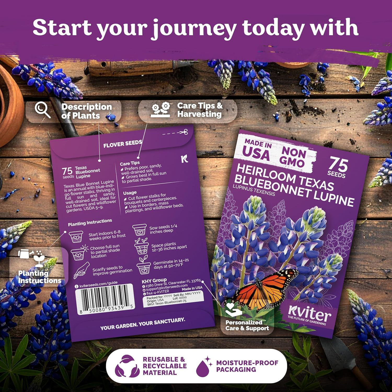 75 Texas Bluebonnet Seeds (Lupinus Texensis) – Texas Lupine, Pollinator Friendly